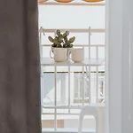 Zeusplace Living