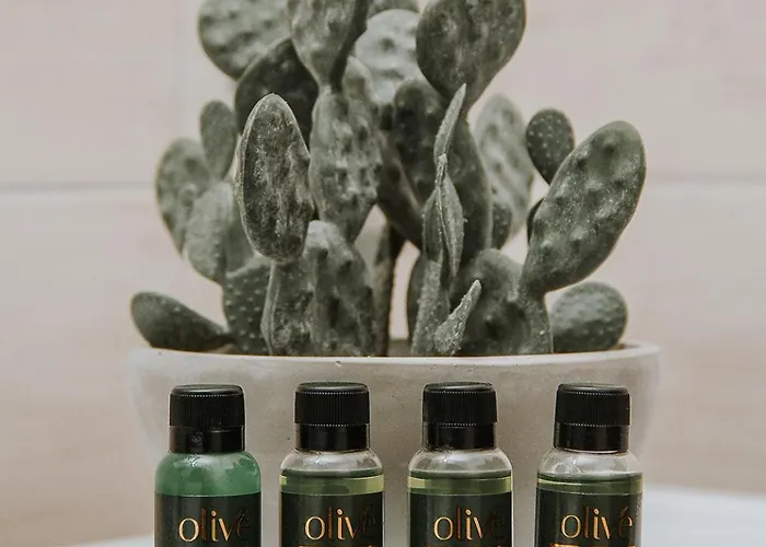 Zeusplace Living * 卡泰里尼